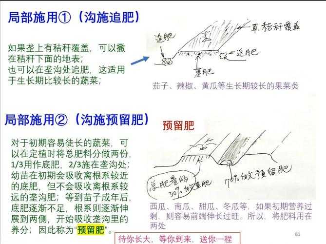 深耕细作:妙妙教你高效农业管理技巧