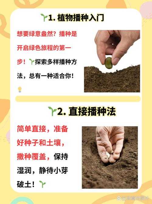 深耕细作:妙妙教你高效种植技巧