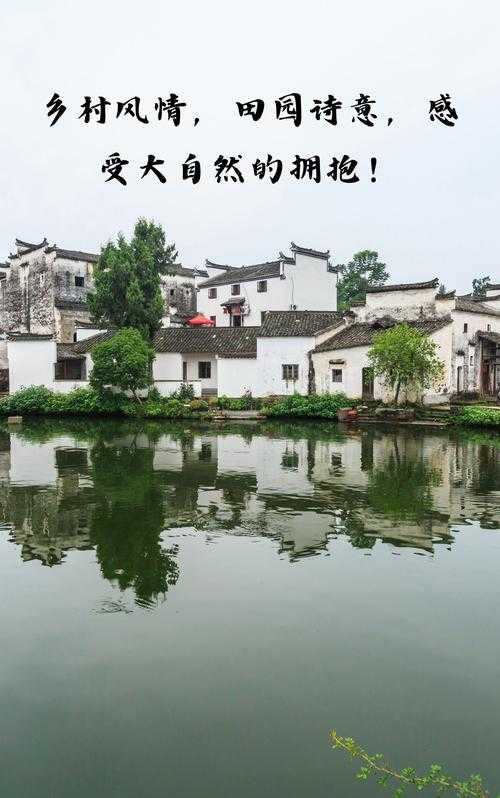 淳朴乡村生活:自然与传统的完美融合