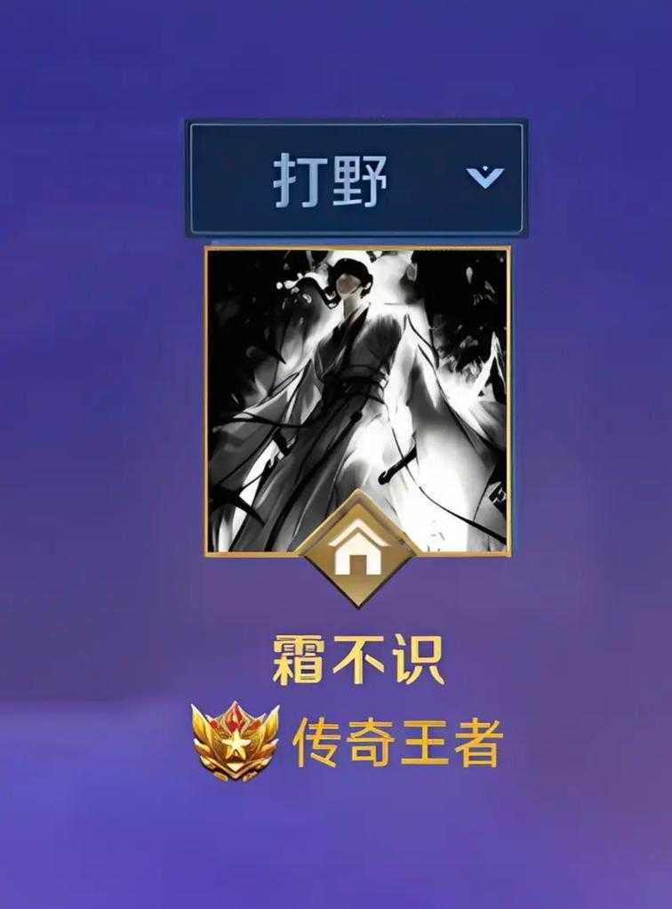 清冷网名王者荣耀英雄 带着 玩家，荣耀