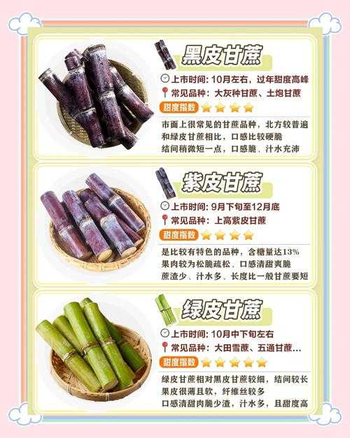 清明后的甘蔗:甜蜜时令,健康新选择