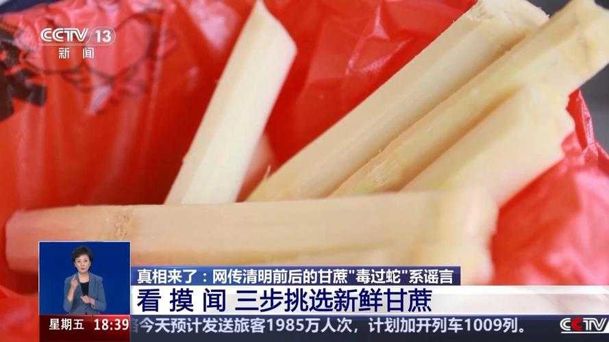 清明蔗毒如蛇?吃甘蔗必知的致命隐患