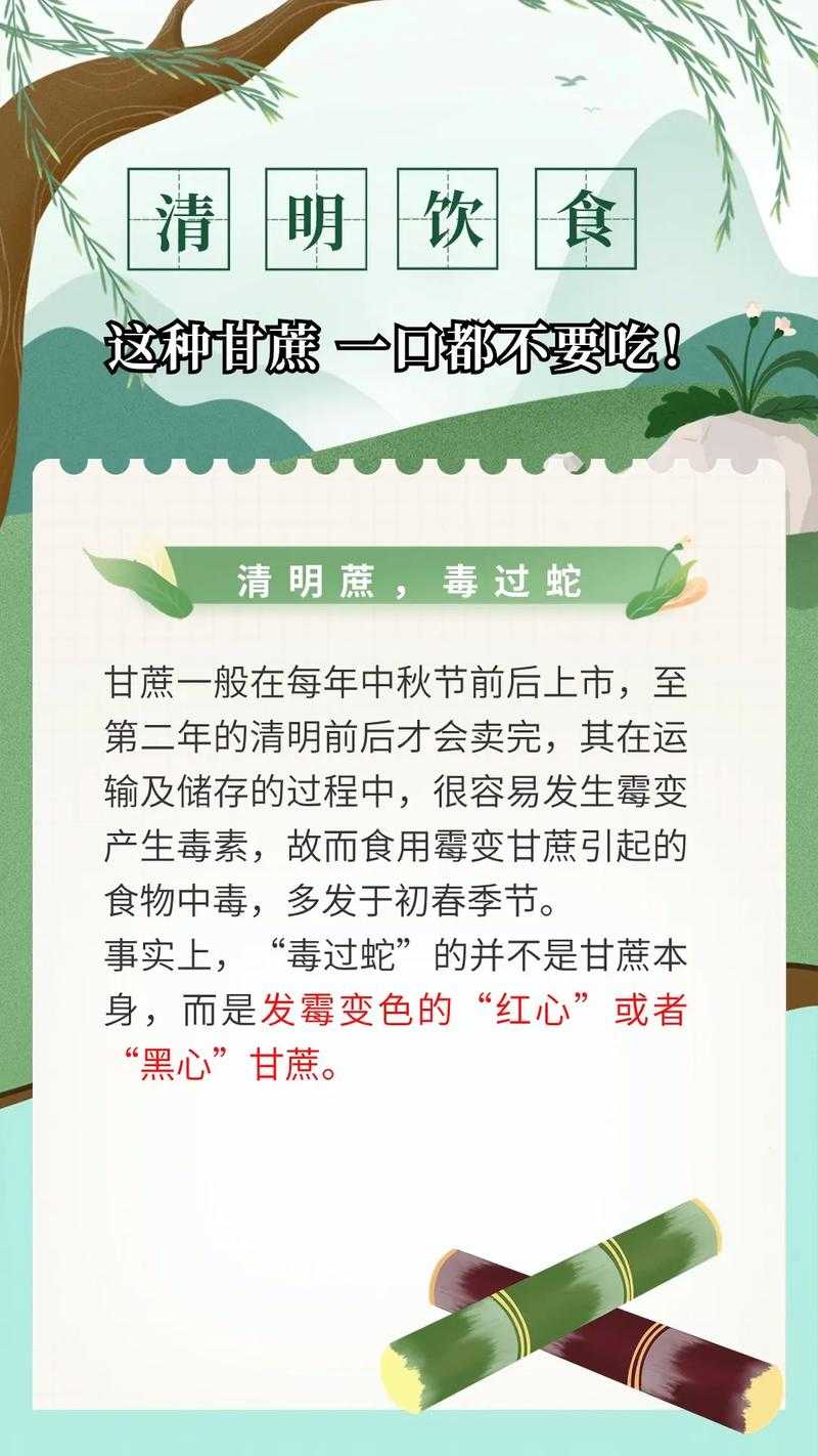 清明蔗毒过蛇真相:霉变甘蔗惹的祸
