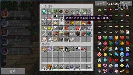 清爽果实我的世界怎么做 怎么做 果实,模组
