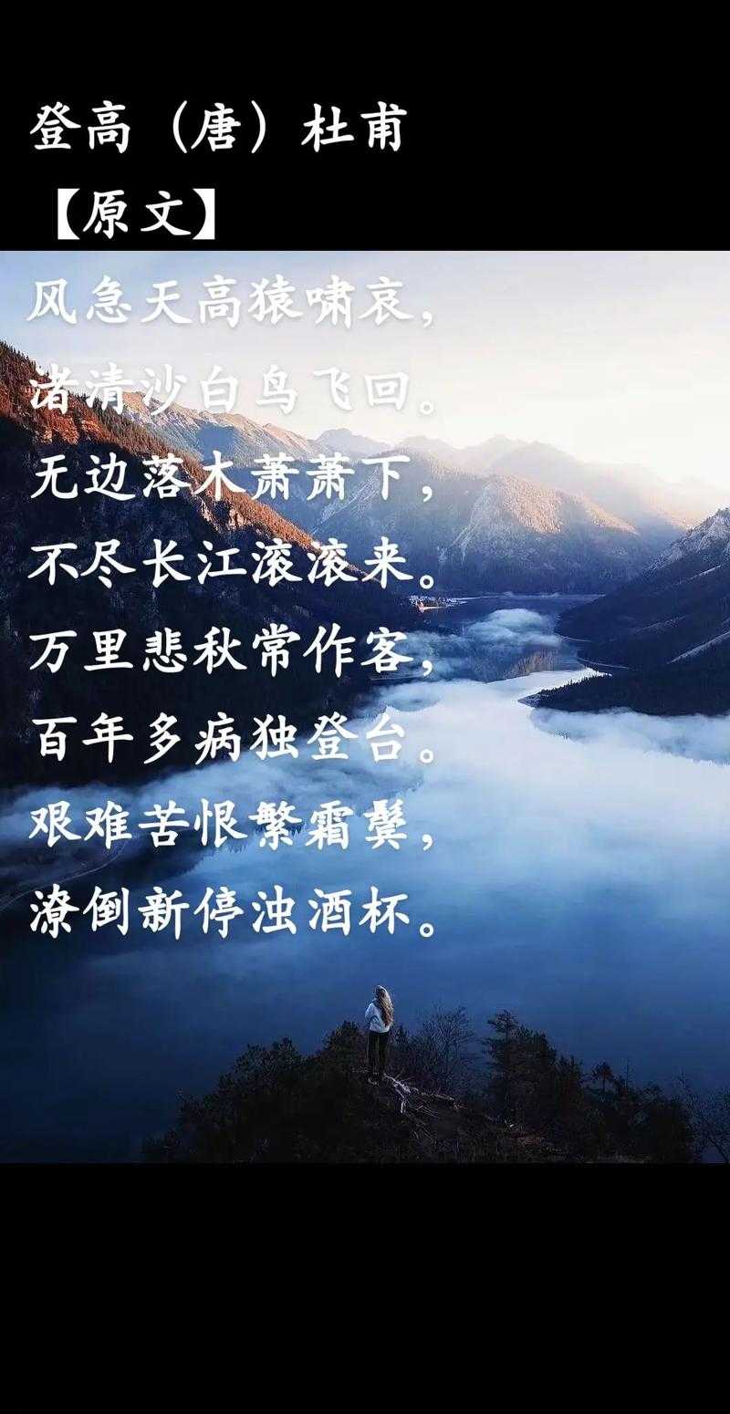 渚清沙白鸟飞回:沙白意境解析与赏析